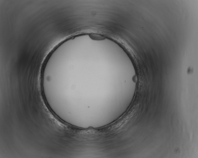 X0000094360902200711241934