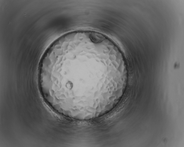 X0000094360903200711241934