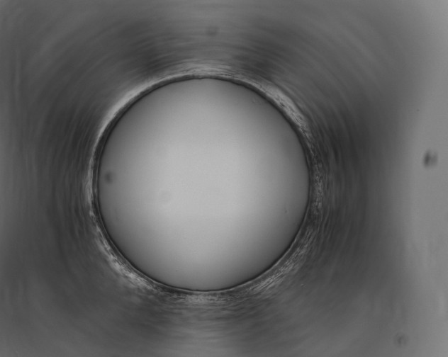 X0000094360904200711241934