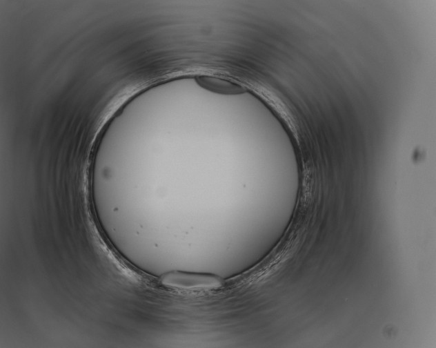 X0000094360906200711241934