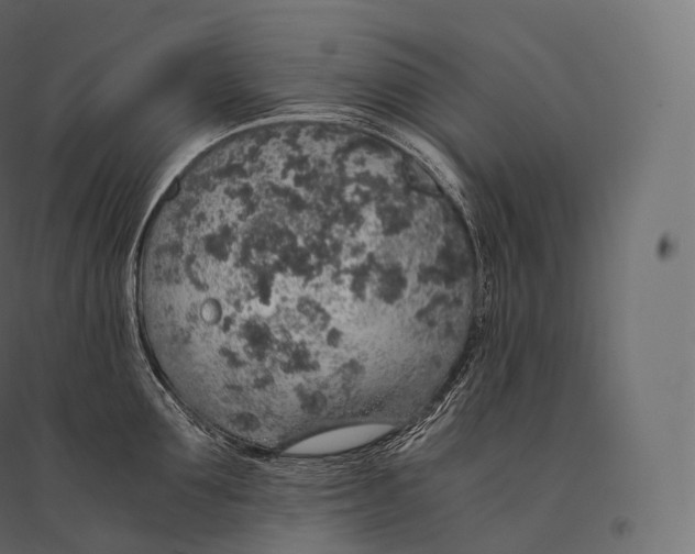 X0000094360907200711241934