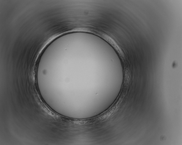 X0000094360908200711241934