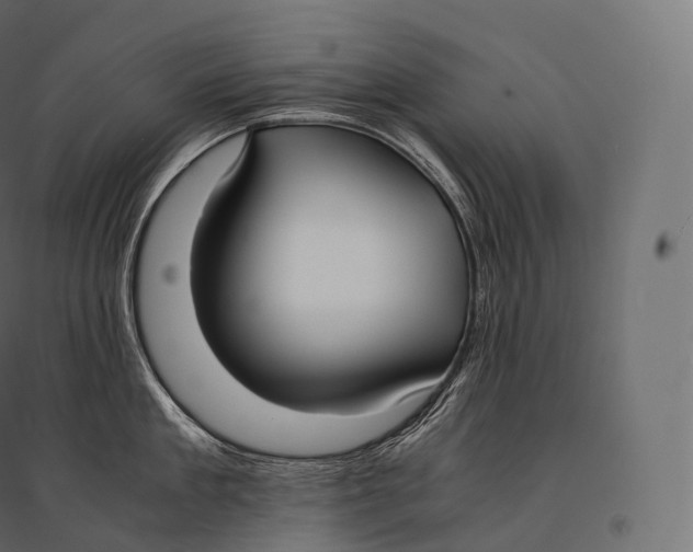 X0000094360909200711241934