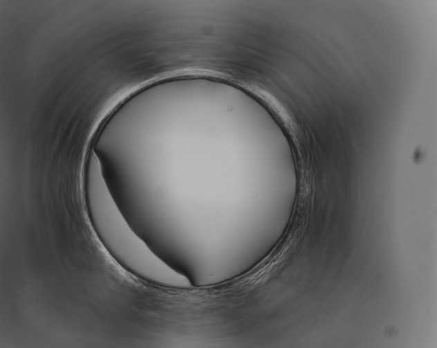 X0000094360910200711241934