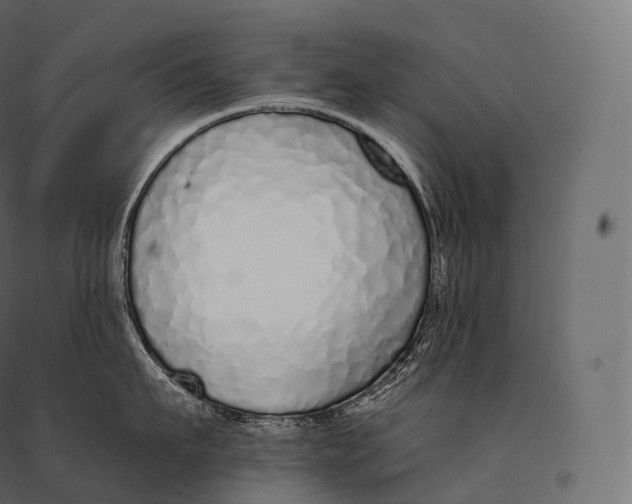 X0000094360911200711241934