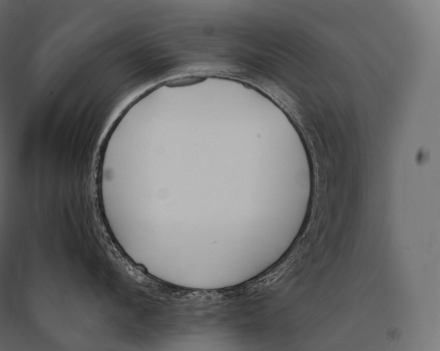 X0000094360912200711241934