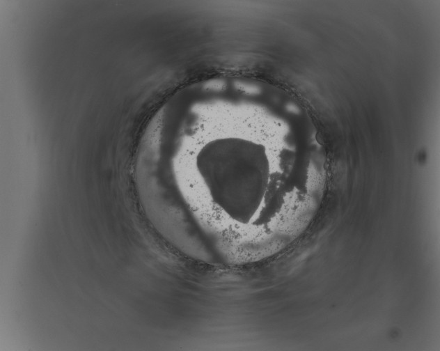 X0000094360913200711241934