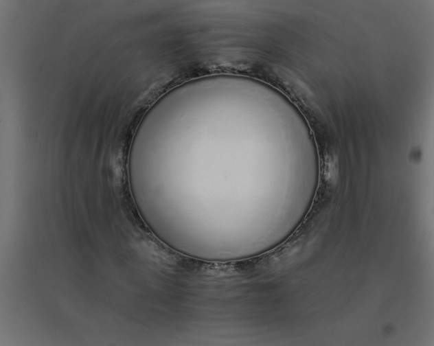 X0000094360915200711241934