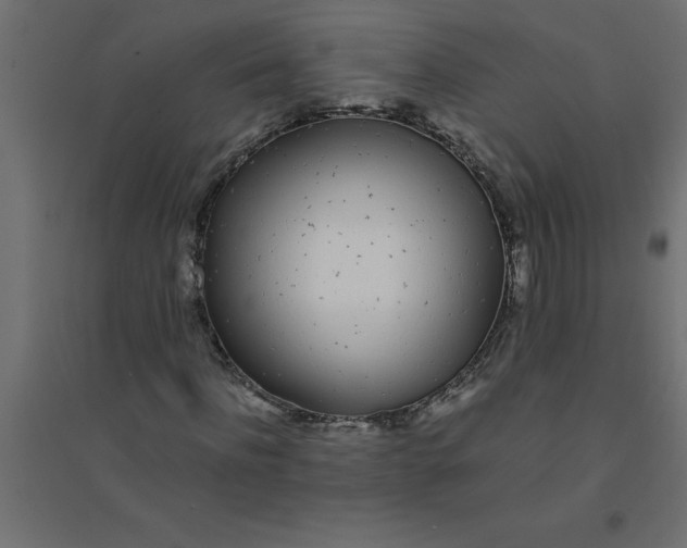 X0000094360916200711241934