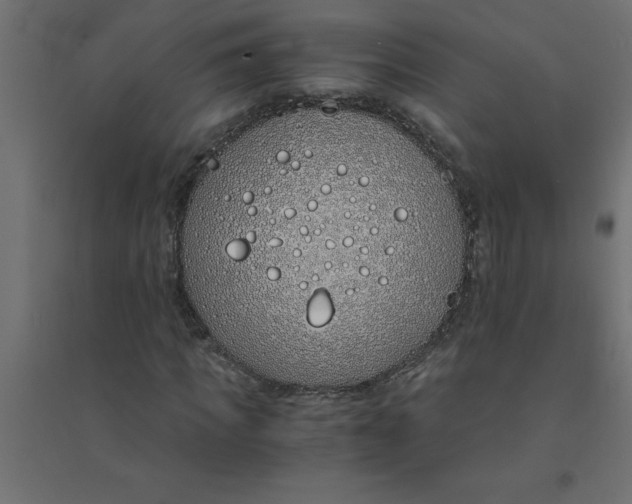 X0000094360917200711241934