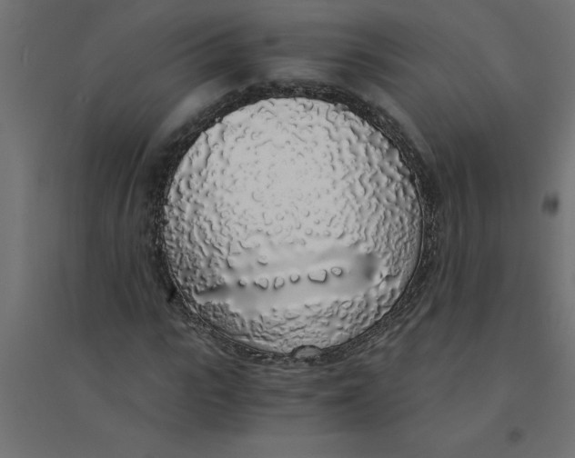 X0000094360919200711241934