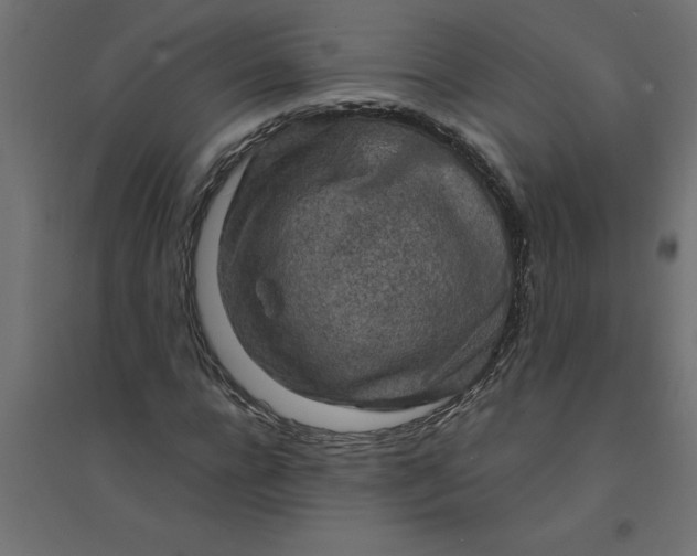 X0000094360920200711241934