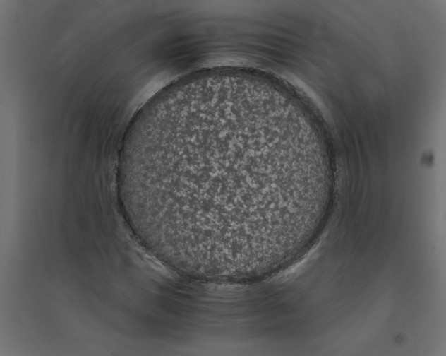 X0000094360921200711241934