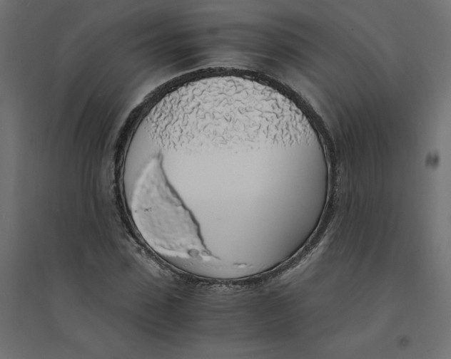 X0000094360923200711241934