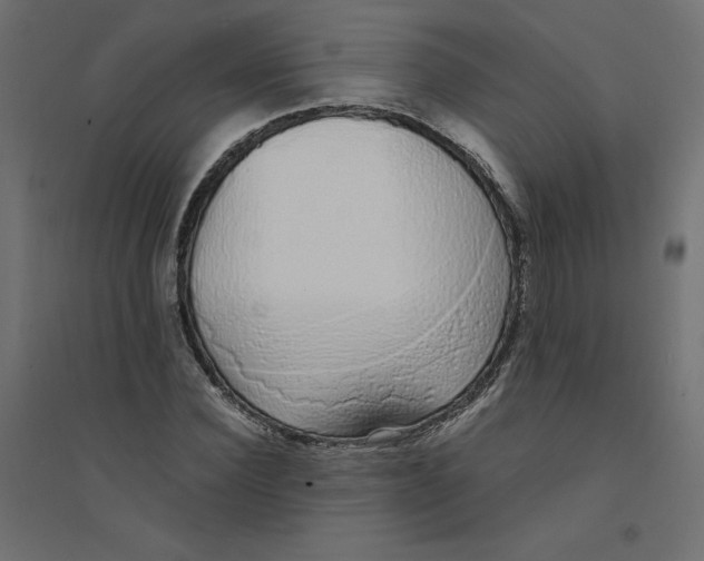 X0000094360924200711241934