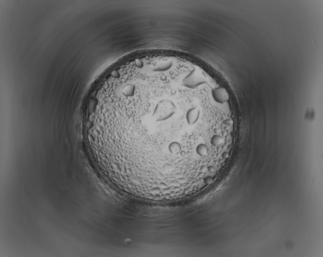 X0000094360925200711241934