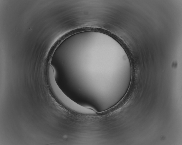 X0000094360926200711241934