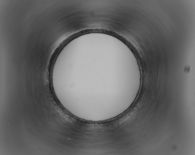 X0000094360927200711241934