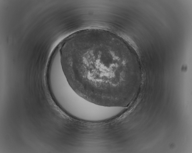 X0000094360928200711241934