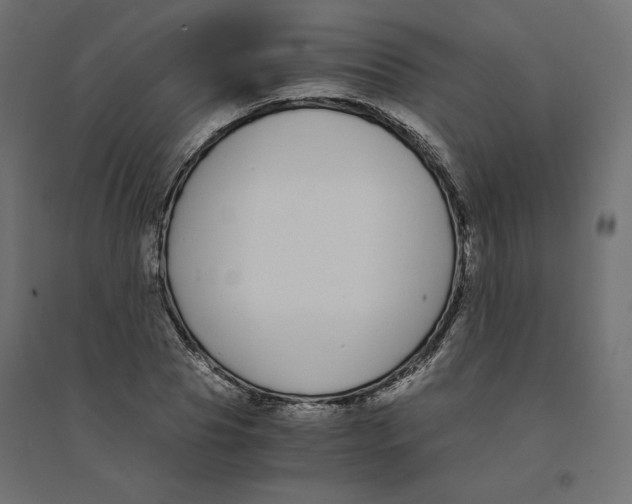 X0000094360929200711241934