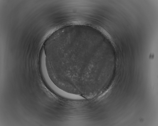 X0000094360930200711241934