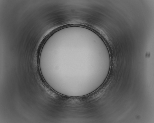 X0000094360931200711241934