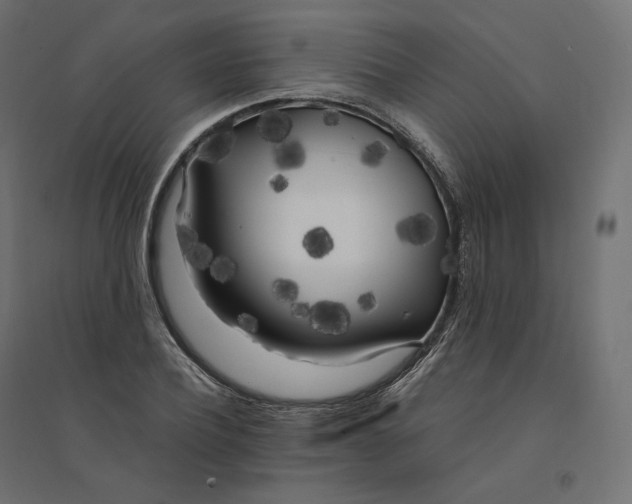 X0000094360932200711241934