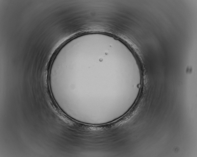 X0000094360933200711241934