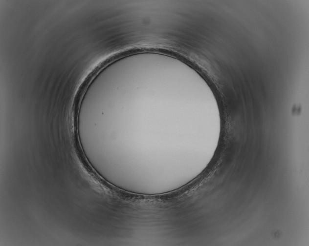 X0000094360934200711241934