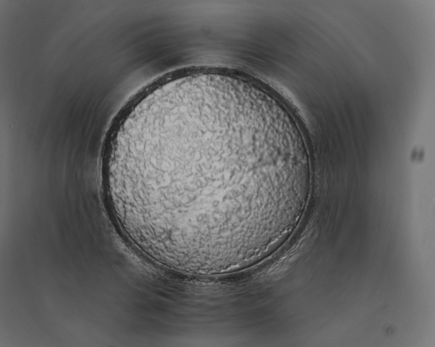 X0000094360935200711241934