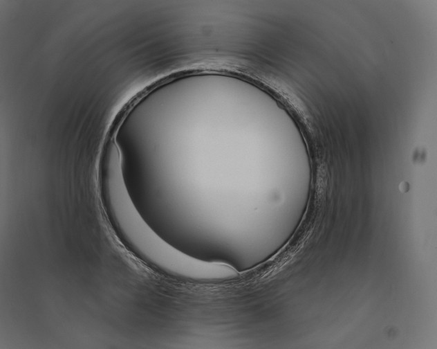 X0000094360936200711241934