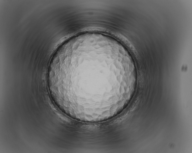 X0000094360937200711241934