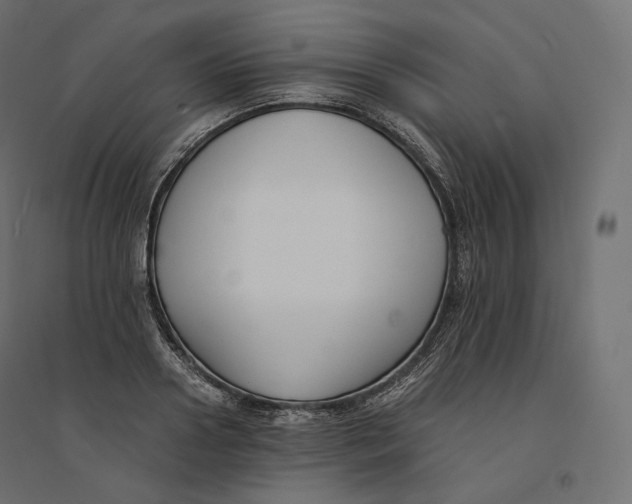 X0000094360938200711241934