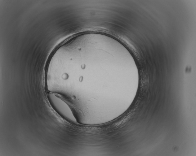 X0000094360940200711241934