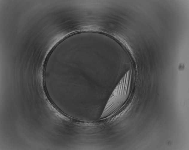 X0000094360941200711241934