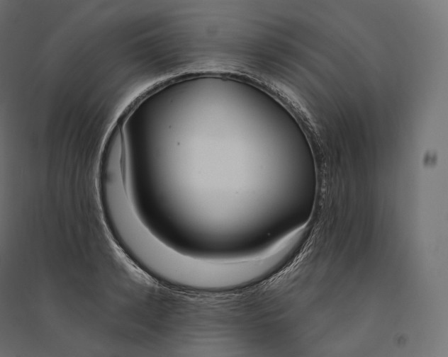 X0000094360942200711241934