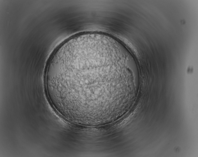 X0000094360943200711241934