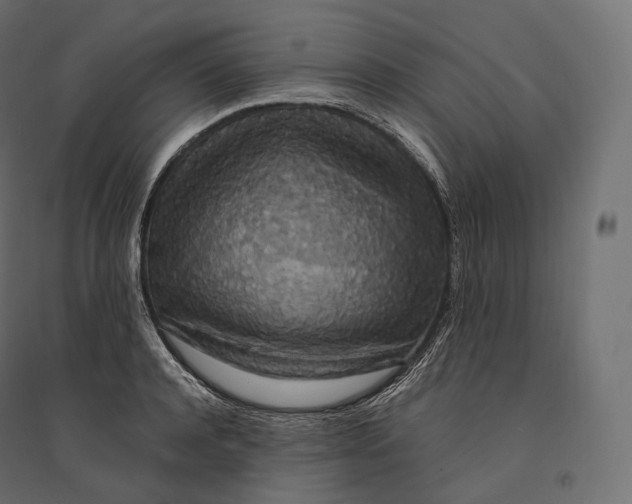 X0000094360944200711241934