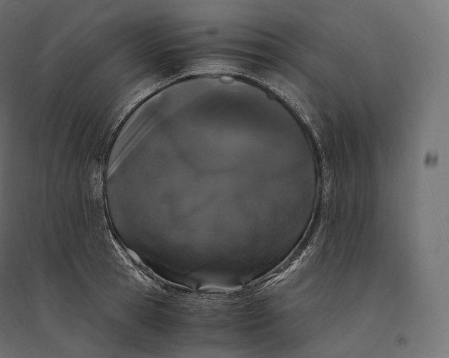 X0000094360945200711241934