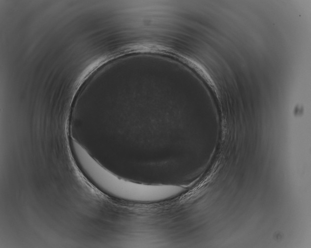 X0000094360946200711241934