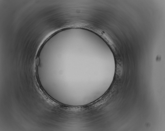 X0000094360948200711241934