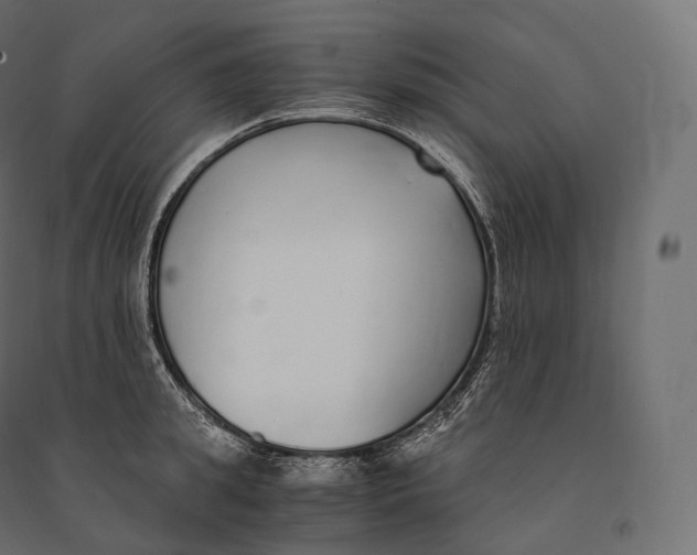 X0000094360949200711241934