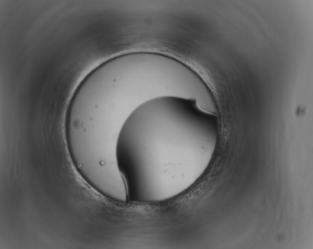 X0000094360950200711241934