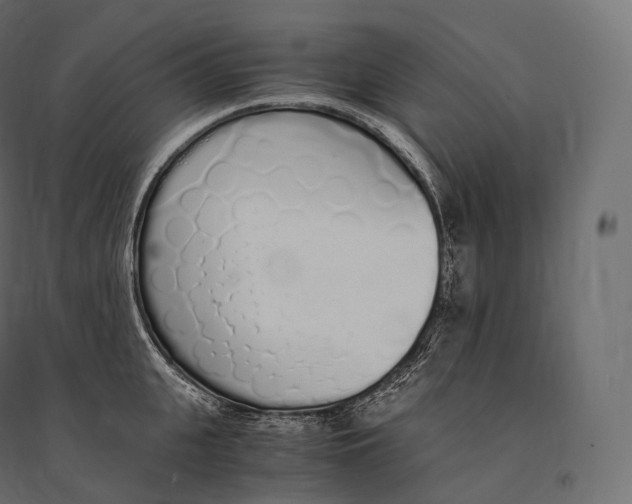 X0000094360951200711241934