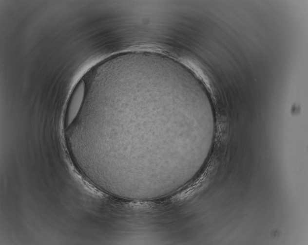 X0000094360952200711241934