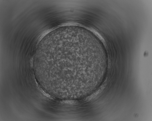 X0000094360953200711241934