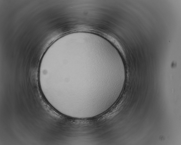 X0000094360954200711241934