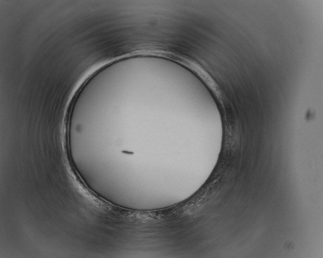 X0000094360955200711241934