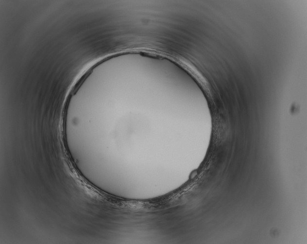 X0000094360956200711241934