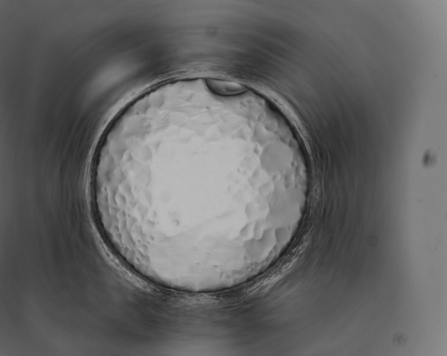 X0000094360957200711241934